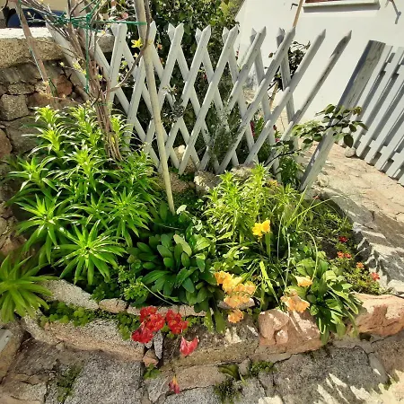 I Giardini Di Carmen La Maddalena (Sassari)